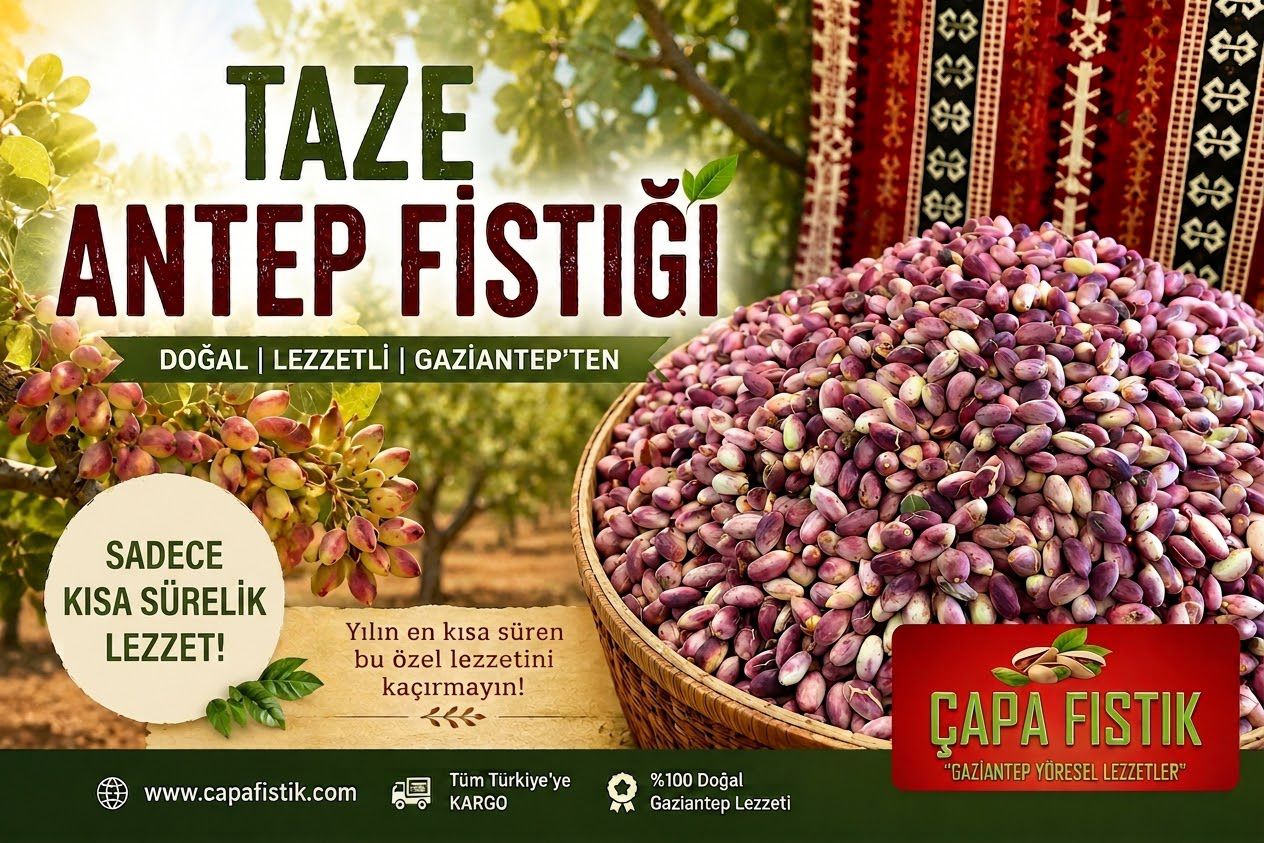 Taze Fıstıklarımız Satışta (Yaş Antep Fıstığı)