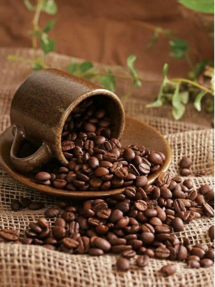 Türk Kahvesi (Orta Kavrulmuş)