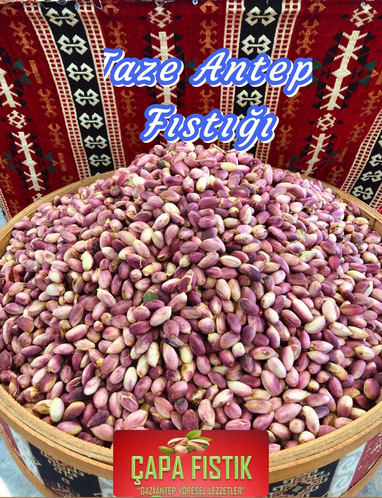 Antep Fıstığı Taze Fıstık - Yaş Fıstık